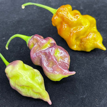 Flaming Nougat - Seeds - The Pepper Pantry (Formerly Marie Sharp's)